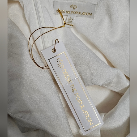 Dress the Population Claudia Ruffle Lace Chiffon One Shoulder Midi V Neckline - Picture 4 of 9